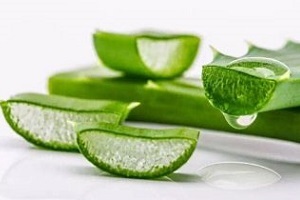 Aloe used to treat prostatitis