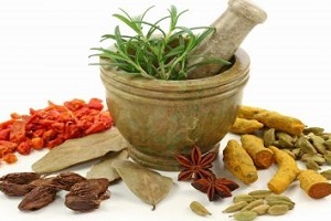 Herbs and spices in the treatment of prostatitis
