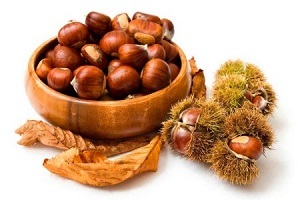 Horse chestnut used to treat prostatitis