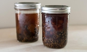 Tincture of aspen of Prostatitis